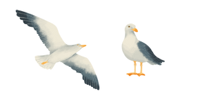 European Herring Gull Cursor