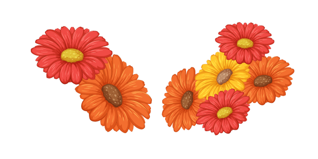 Gerbera Jamesonii aka Barberton Daisies Cursor