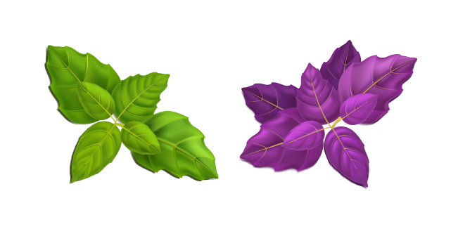 Feuilles de Basilic Vert et Violet Cursor
