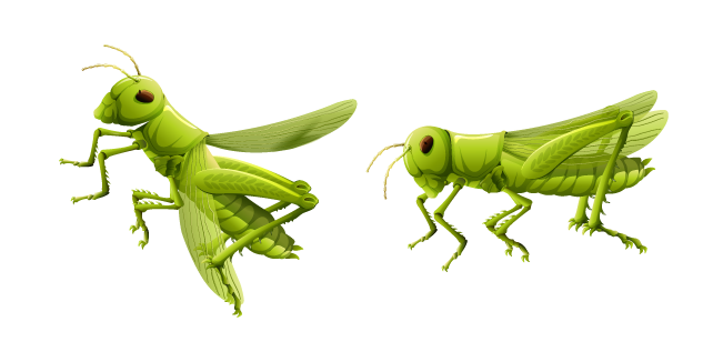 Saltamontes Verde Cursor