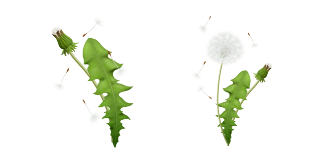 Dandelion's Seedhead курсор