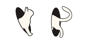 White Cat in a Teleport Cursor
