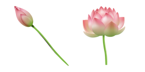 Курсор Pink Water Lily