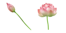 Курсор Pink Water Lily