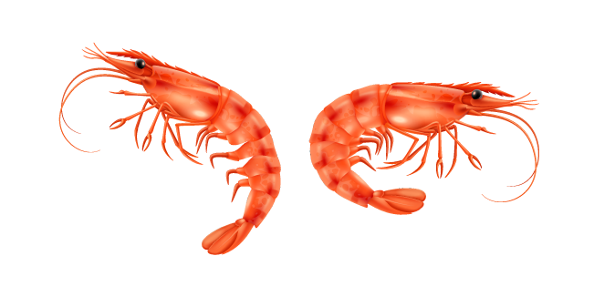 Cooked Shrimp Cursor