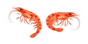 Cooked Shrimp Cursor