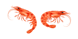 Cooked Shrimp Cursor