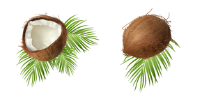 Coco sobre Hojas de Palma cursor