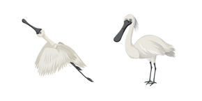 Spatule Blanche Curseur