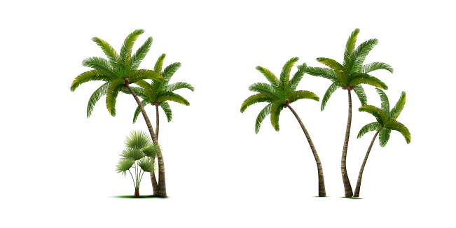 Palmeras Tropicales Cursor