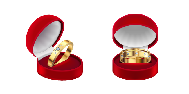 Bagues de Fiançailles en Or Cursor