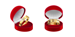 Bagues de Fiançailles en Or Curseur