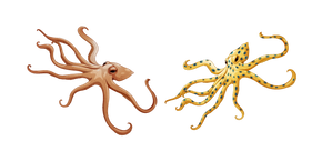 Pieuvre Commune et Pieuvre à Anneaux Bleus Curseur