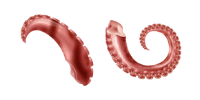 Tentáculos de Pulpo Cocido cursor