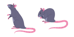 Rat Curseur