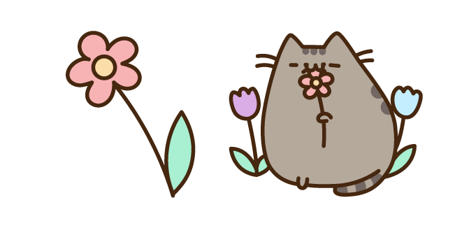 What's your whisker style? ✨ #Pusheen