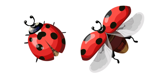 Ladybug PNG Transparent Images Download - PNG Packs