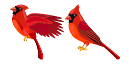 Cardinal Curseur