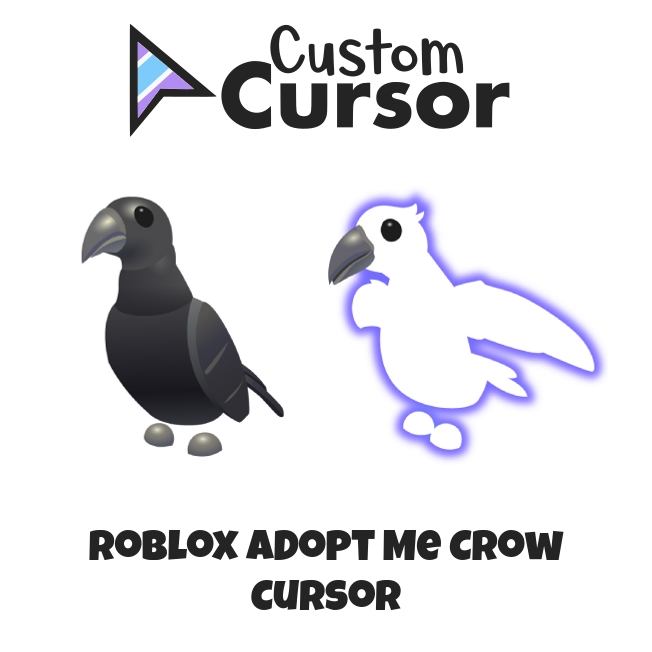 Crow adopt