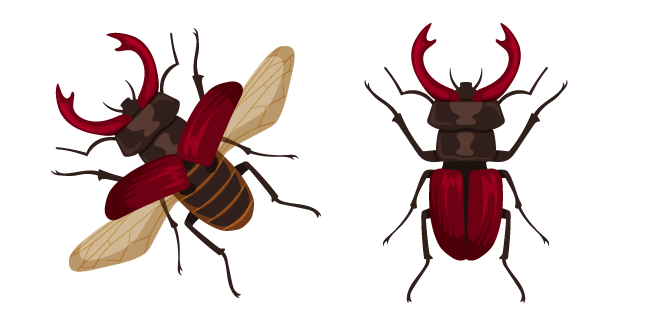 Stag Beetle Cursor
