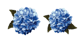 Hydrangea aka Hortensia Curseur