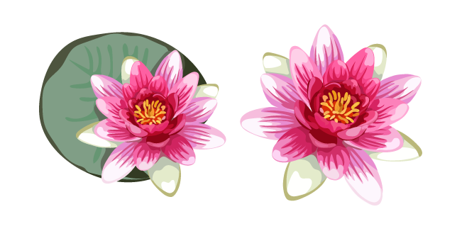 Water Lily Cursor