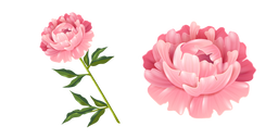 Peony Curseur