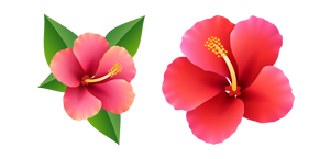 Hawaiian Hibiscus cursor