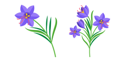 Lobelias Cursor