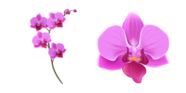 Pink Orchid Cursor