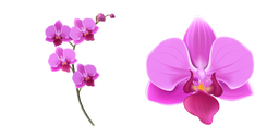 Pink Orchid Cursor