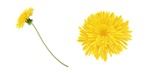 Yellow Dandelion Curseur