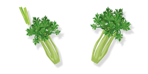 Green Celery Curseur