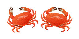 Crab Curseur