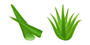 Aloe Curseur