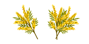 Brassica Curseur