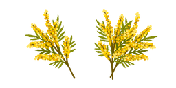 Brassica Cursor