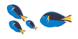 Surgeonfish Curseur