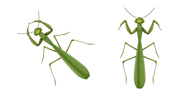 Mantis курсор